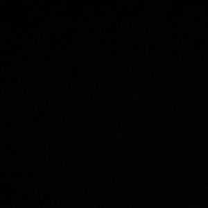 Meet your Posher, Jackson